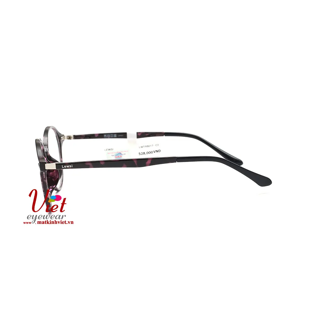 Gọng kính LEWSI L6017 C3
