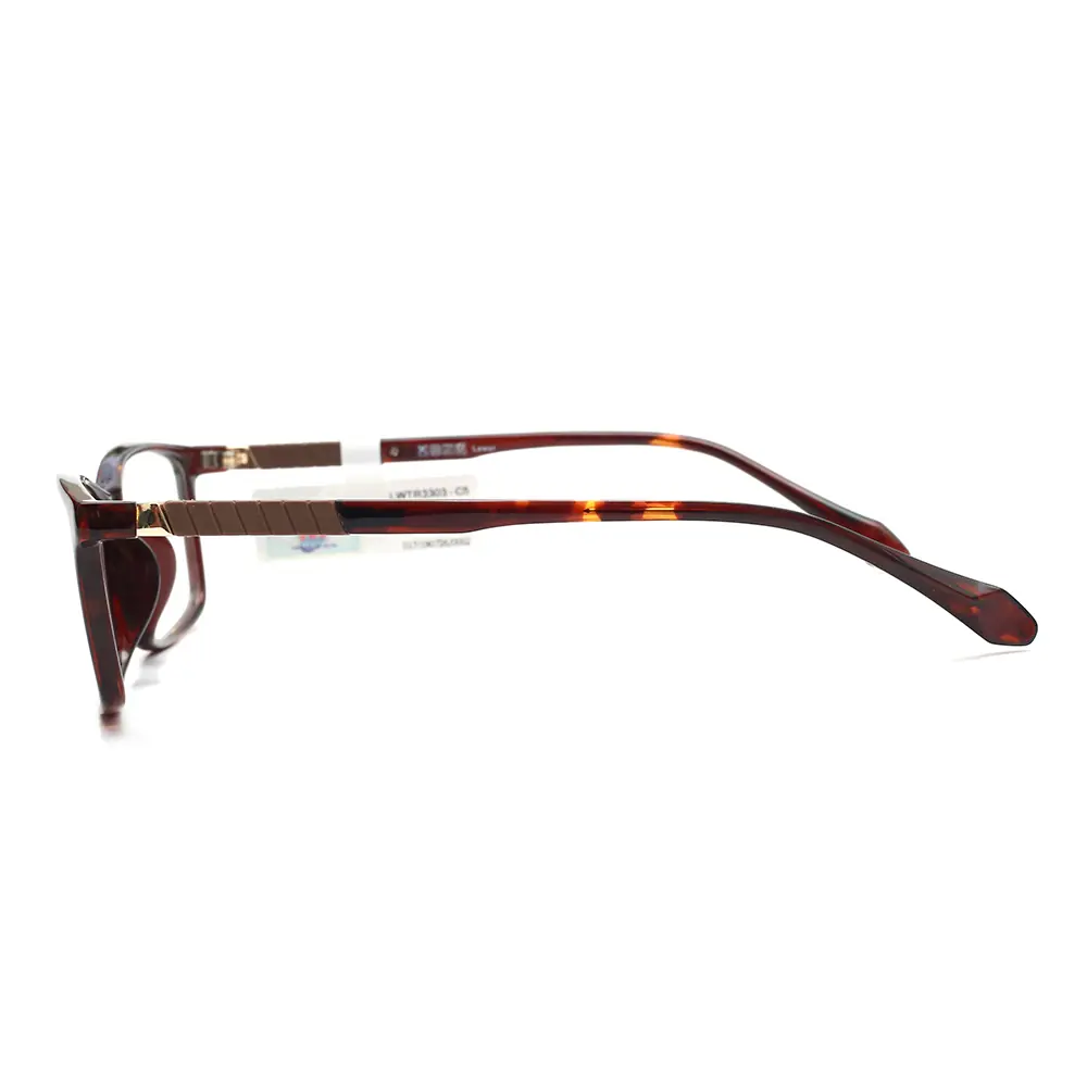 Gọng kính LEWSI L3303 C5
