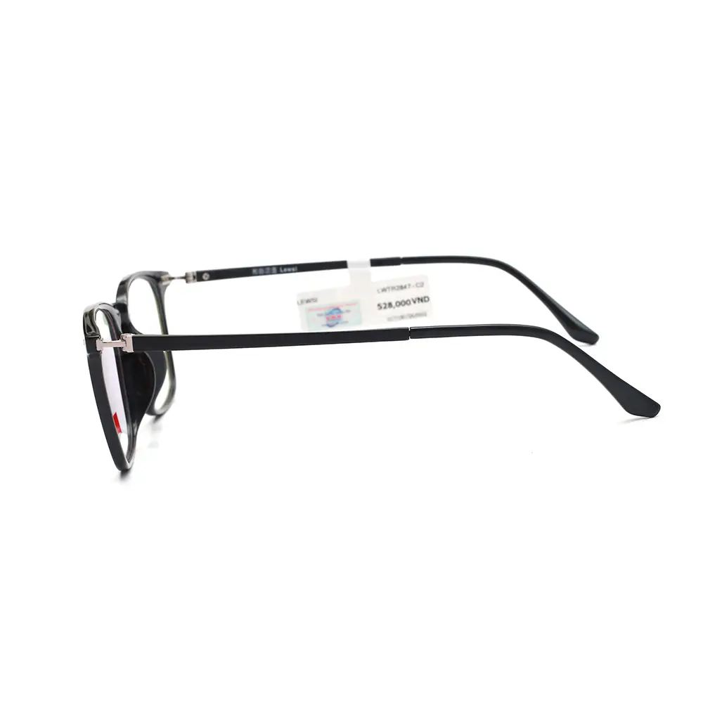 Gọng kính LEWSI L2847 C2
