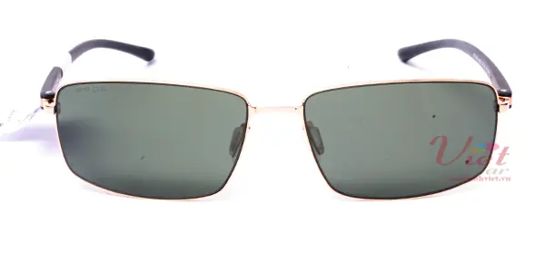 Kính mát Prosun PS1501 M03