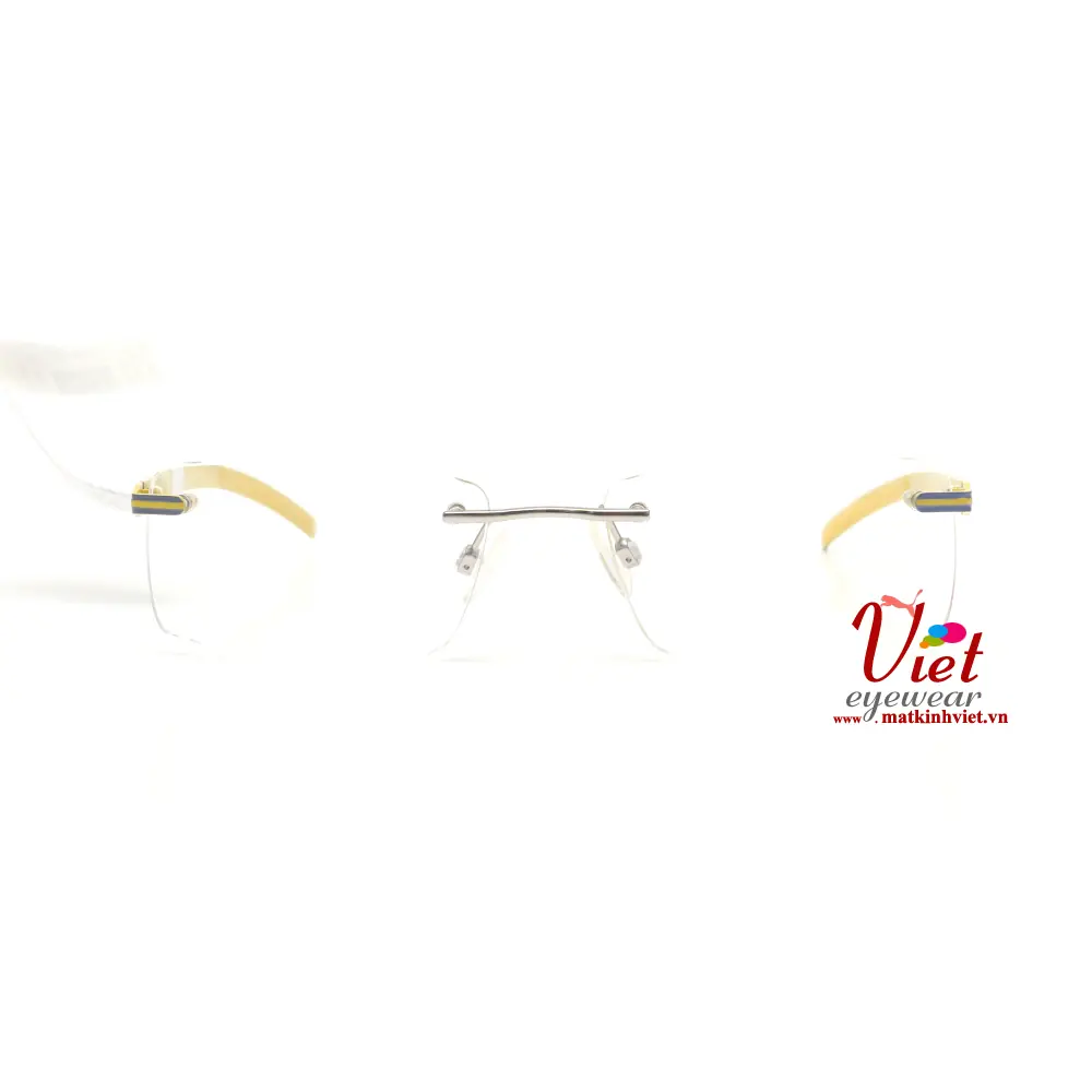 Gọng kính Puma PE00220 007