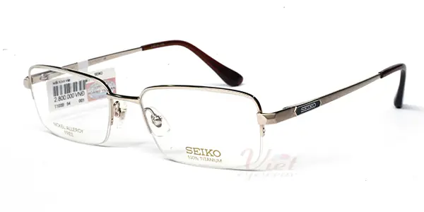 Gọng kính Seiko T1033 001