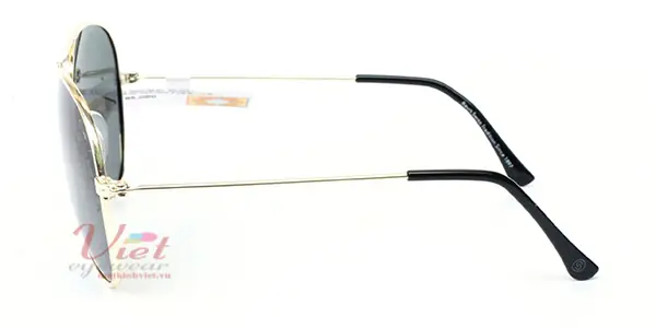 Kính mát Smarty S13001 B