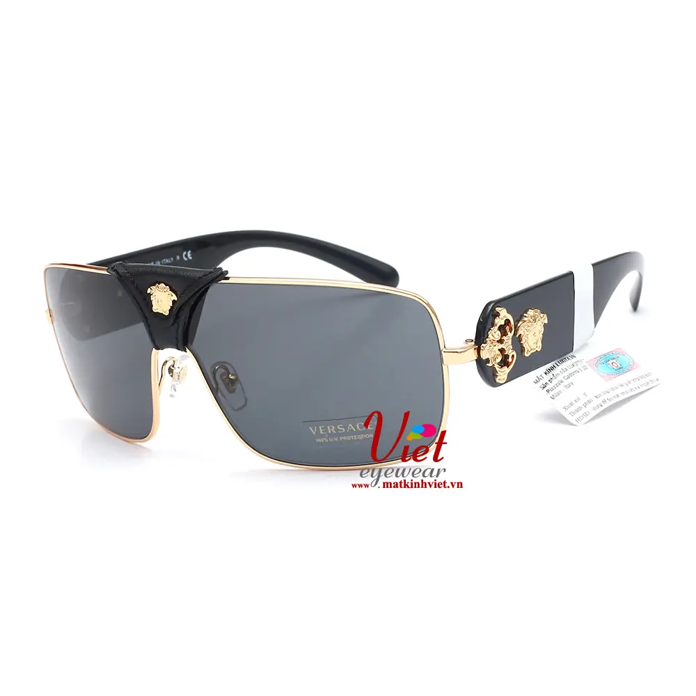 Kính Mát Versace VE2207Q 100287