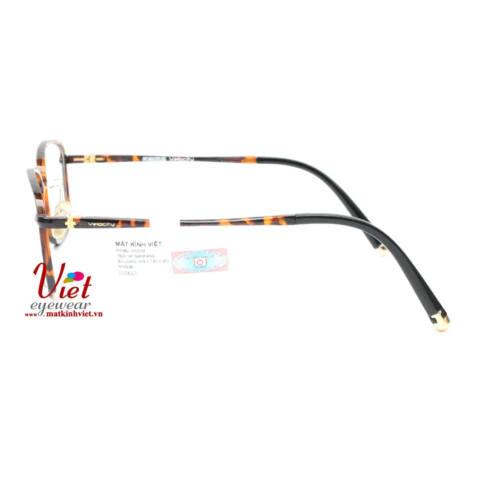 Gọng kính Velocity VL6416 C5