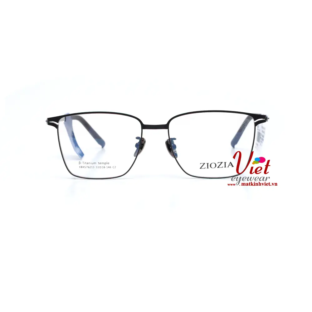 Gọng kính ZIOZIA KBXSIT6213 C2