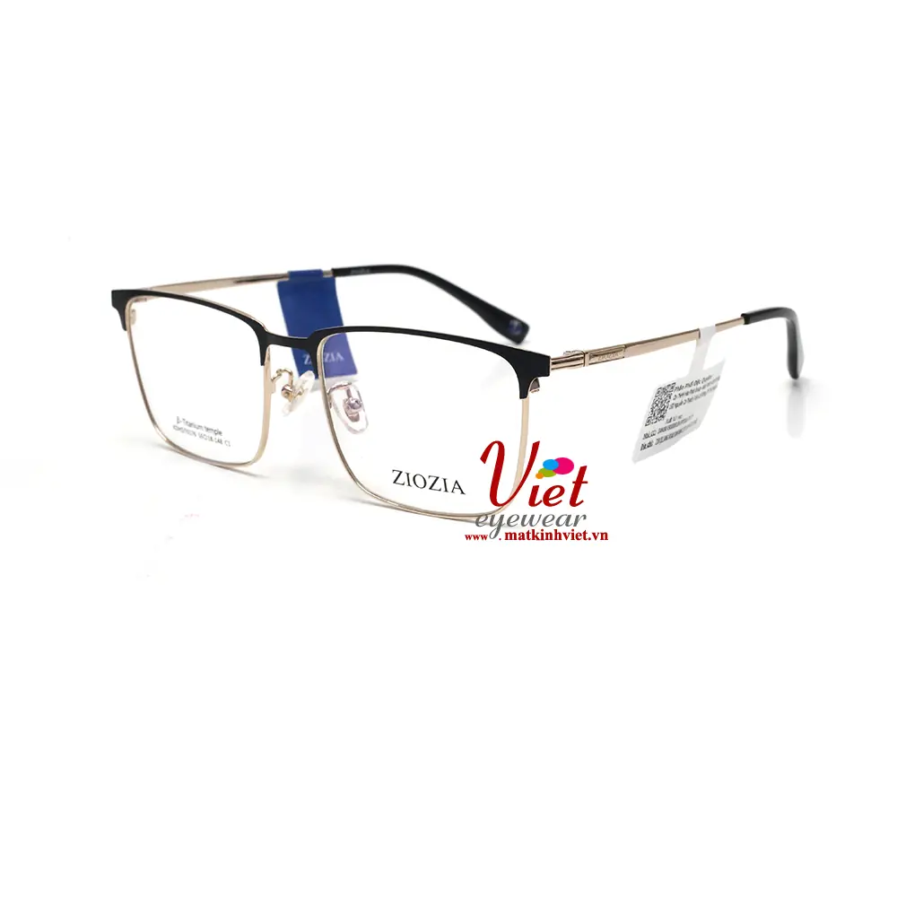 Gọng kính ZIOZIA KDHSIT6176 C1