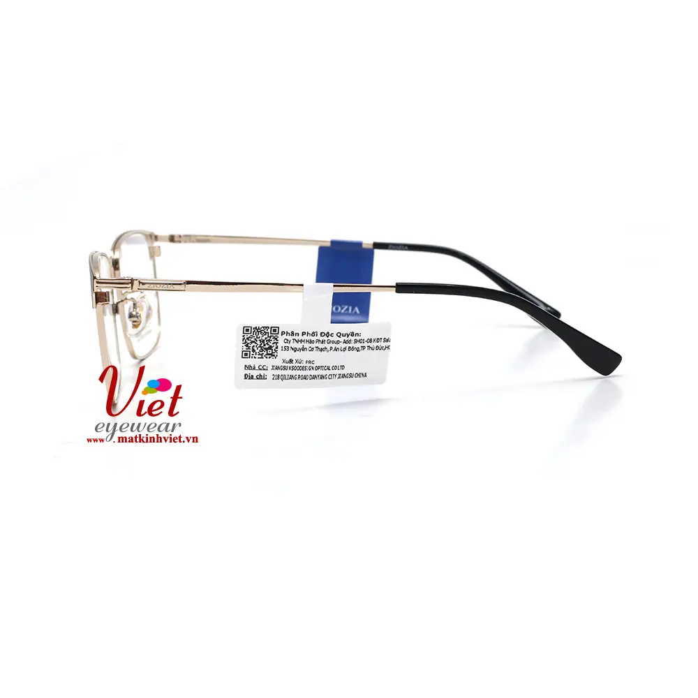 Gọng kính ZIOZIA KDHSIT6176 C1