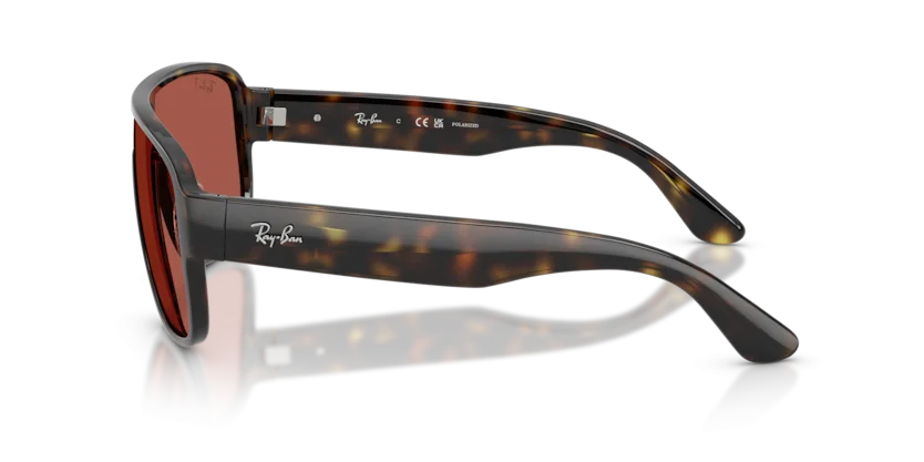 Ray-Ban RB2229 710/1B