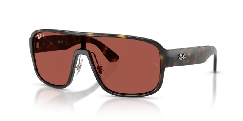 Kính Mát Ray-Ban RB2229 710/1B
