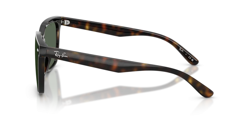 Ray-Ban RB4466D 710/71