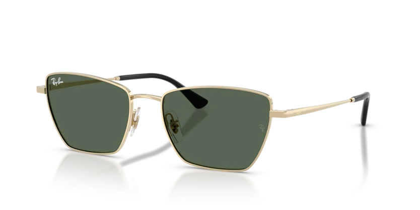 Kính Mát Ray-Ban RB3783 9213/71