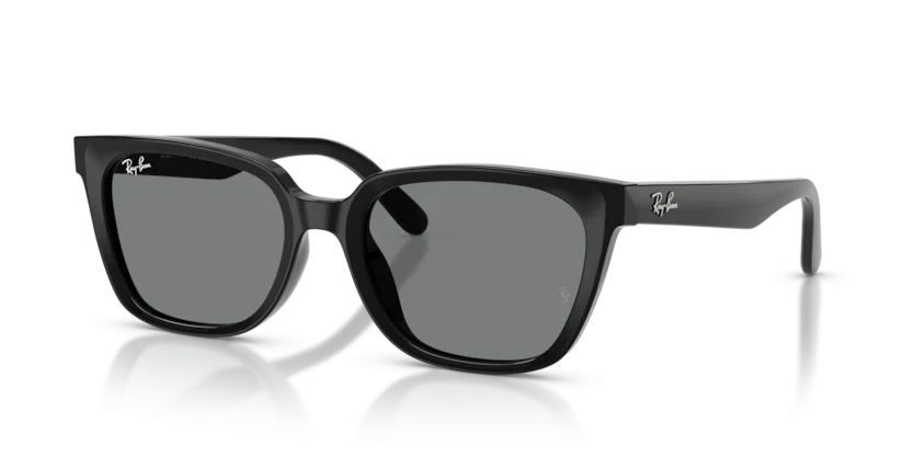 Kính Mát Ray-Ban RB2243D 901/87