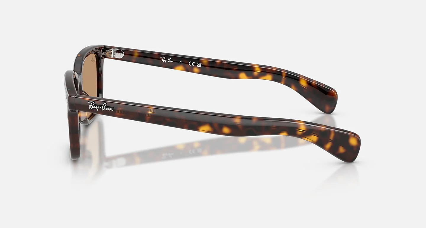 Ray-Ban RB2234F 902/53