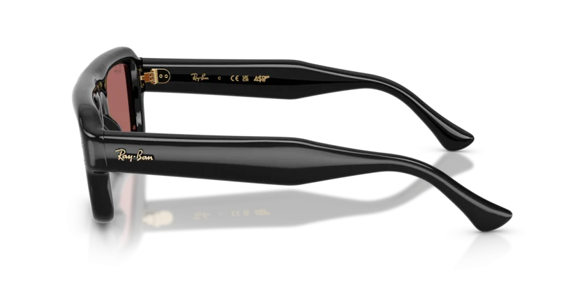 Ray-Ban RB4954 601/69