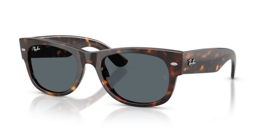 Kính Mát Ray-Ban RB0832SF 902/R5