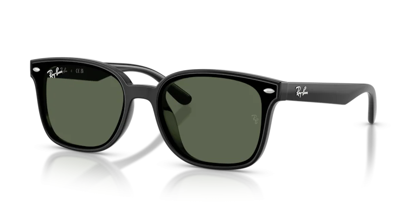 Ray-Ban RB4461D 601/71
