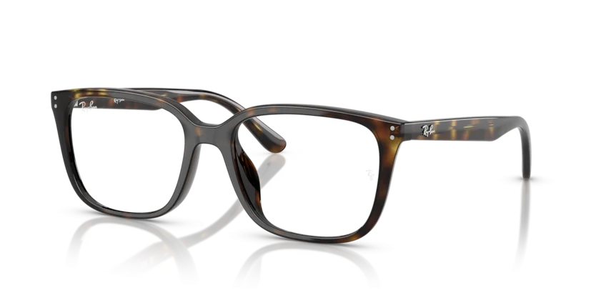 Gọng Kính Ray-Ban RB7248D 2012