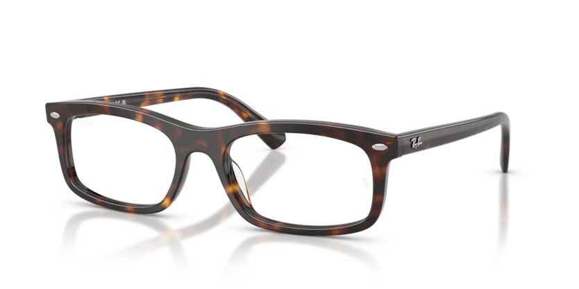 Gọng Kính Ray-Ban RB5450F 2012