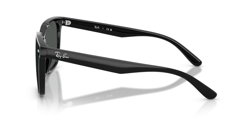Ray-Ban RB4466D 601/87