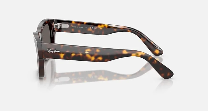Ray-Ban RB7683S 902/B1