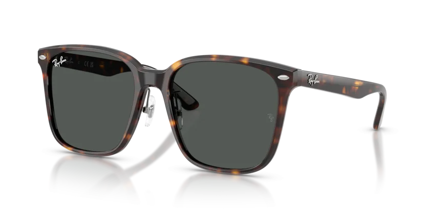 Kính Mát Ray-Ban RB2206D 710/87
