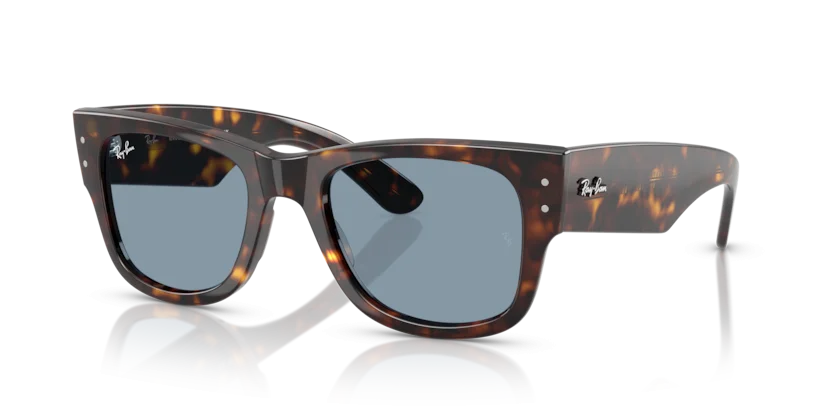 Kính Mát Ray-Ban RB0840SF 902/56