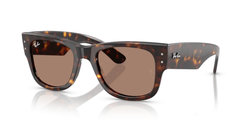 Kính Mát Ray-Ban RB0840SF 902/1A