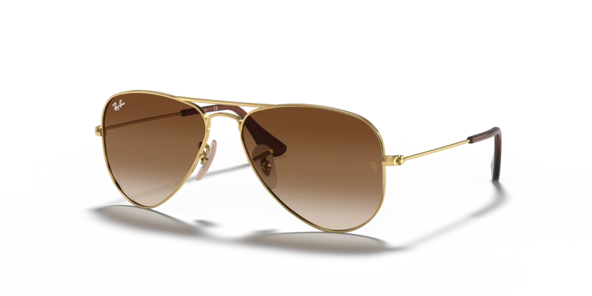 Kính Mát Ray-Ban RJ9506S 223/13