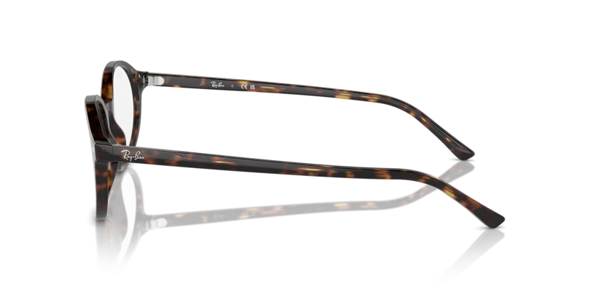 Ray-Ban RB5429 2012