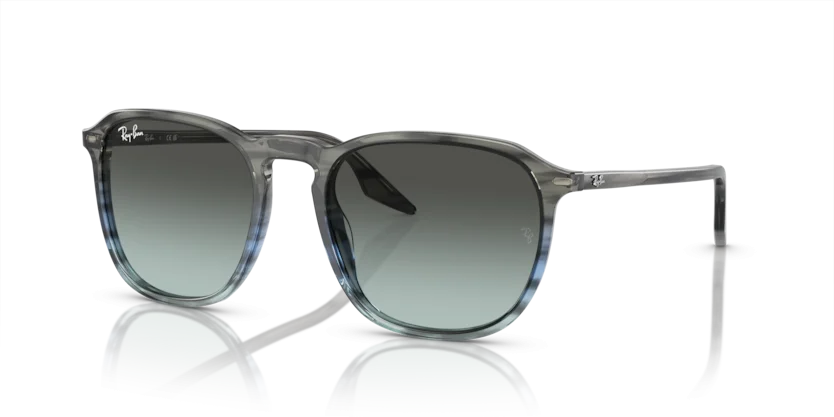 Kính Mát Ray-Ban RB2203F 1391/GK