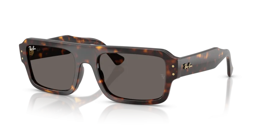 Kính Mát Ray-Ban RB4454F 1359/B1