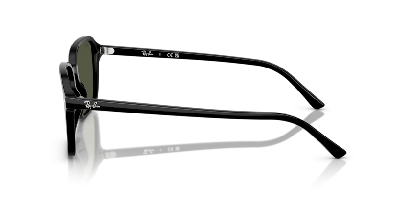 Ray-Ban RB2231F 901/31