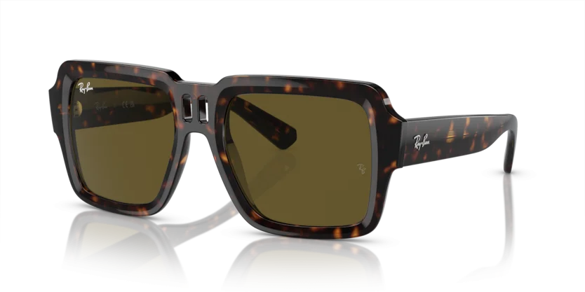 Kính Mát Ray-Ban RB4408 1359/73