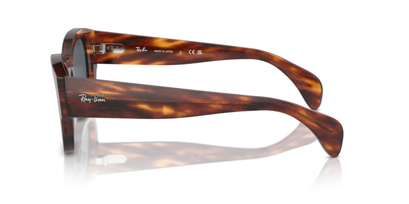 Ray-Ban RB7681SF 954/R5