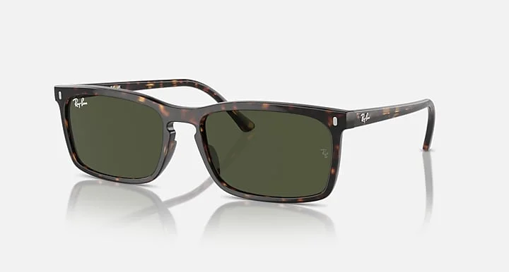 Ray-Ban RB4435 902/31