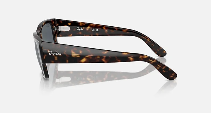 Ray-Ban RB0947SF 902/R5