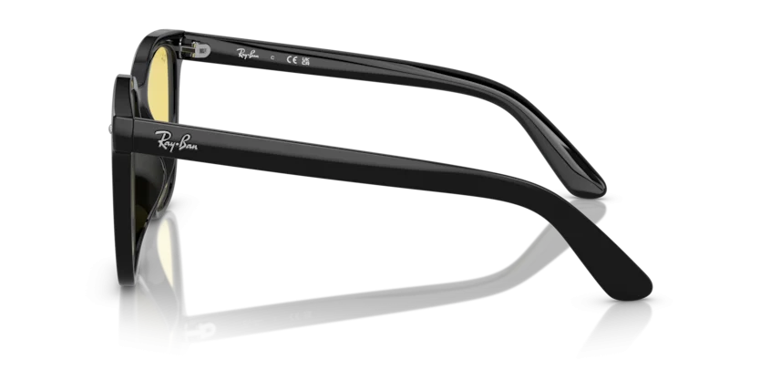 Ray-Ban RB4401D 601/85