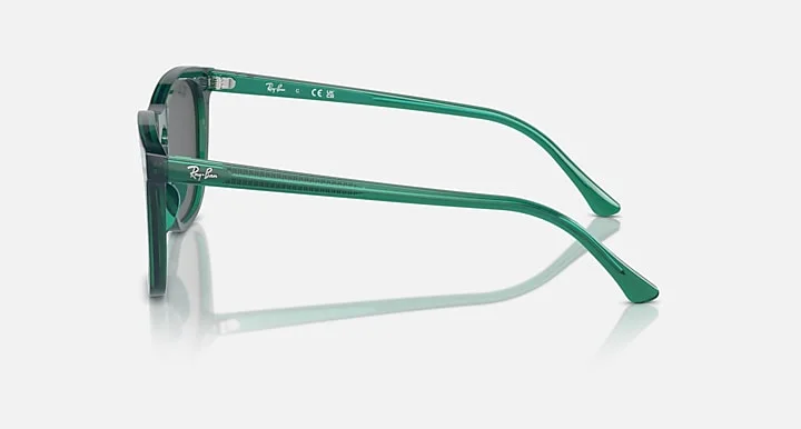 Ray-Ban RB2210 6615/B1