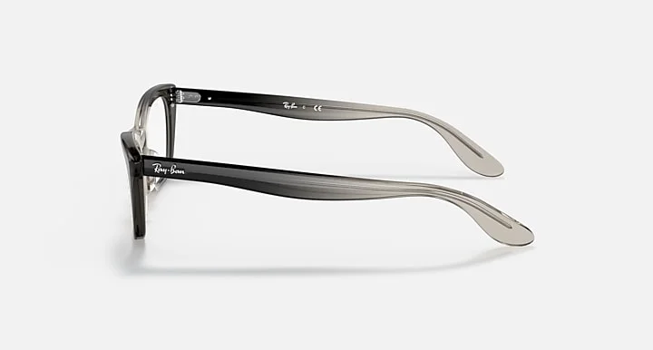 Ray-Ban RB5499 8149