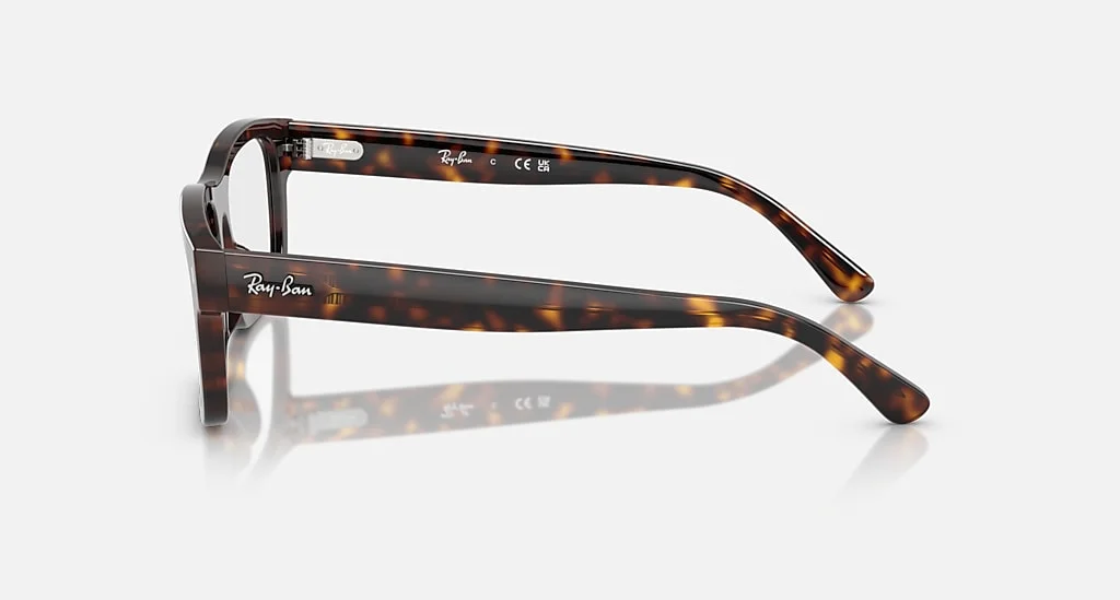 Ray-Ban RB5435 2012