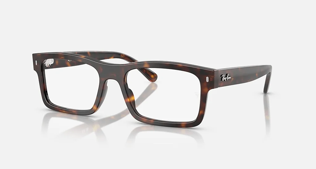 Ray-Ban RB5435 2012