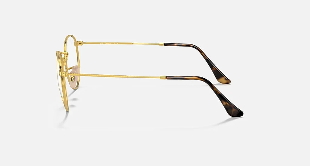 Ray-Ban RB3447V 2500