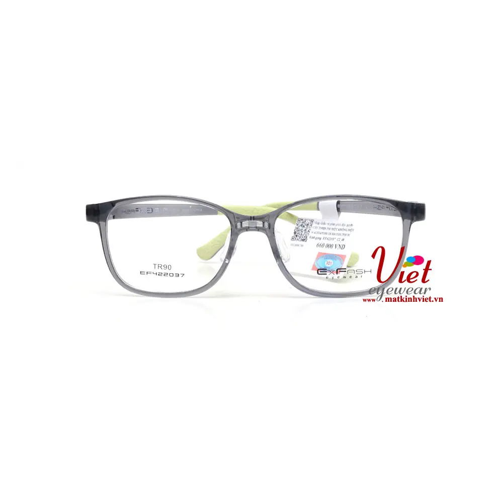 Gọng kính Exfash EF422037 C2