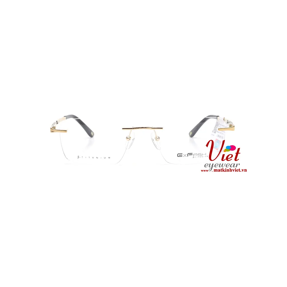 Gọng kính Exfash EF33203T 901