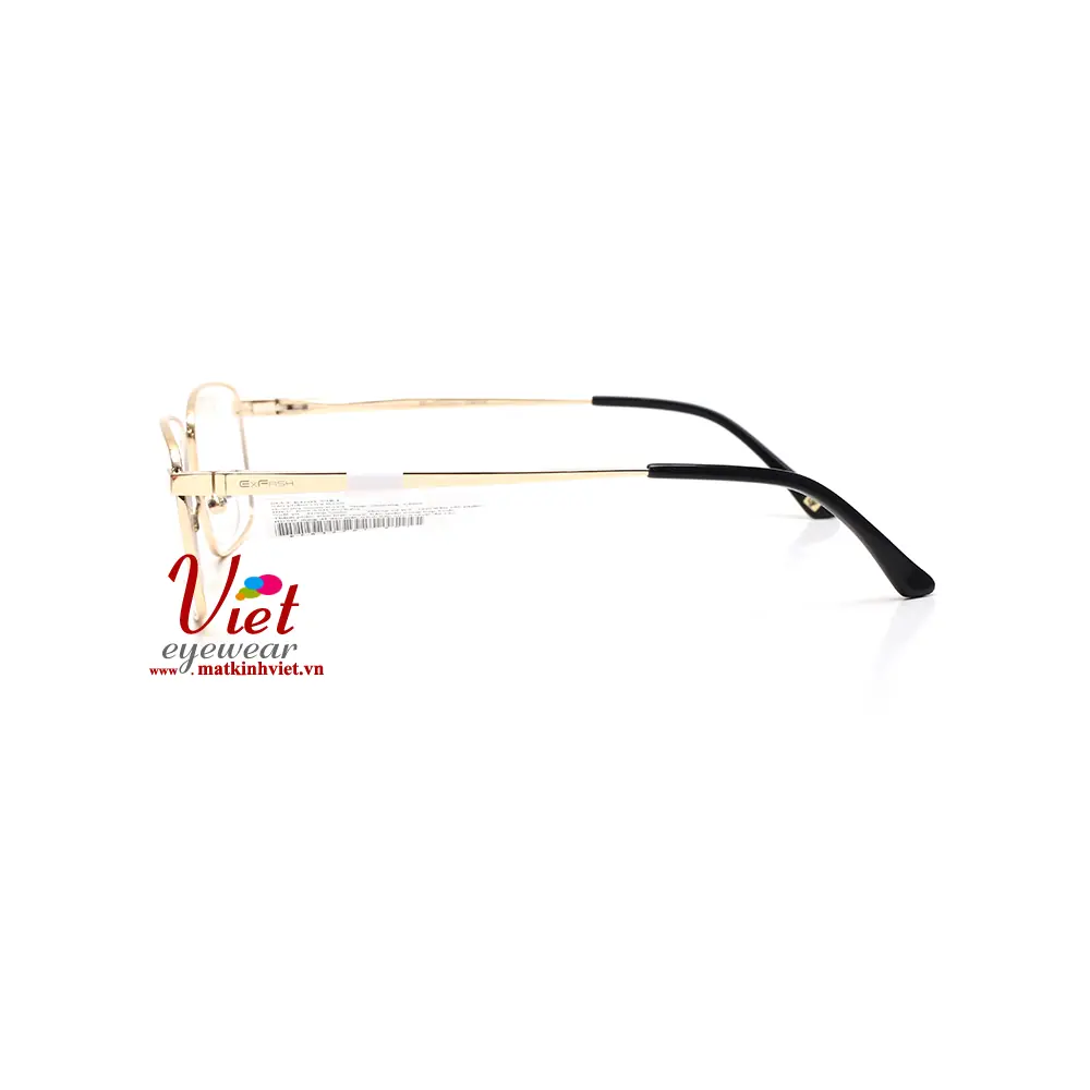 Gọng kính Exfash EF83287T 901