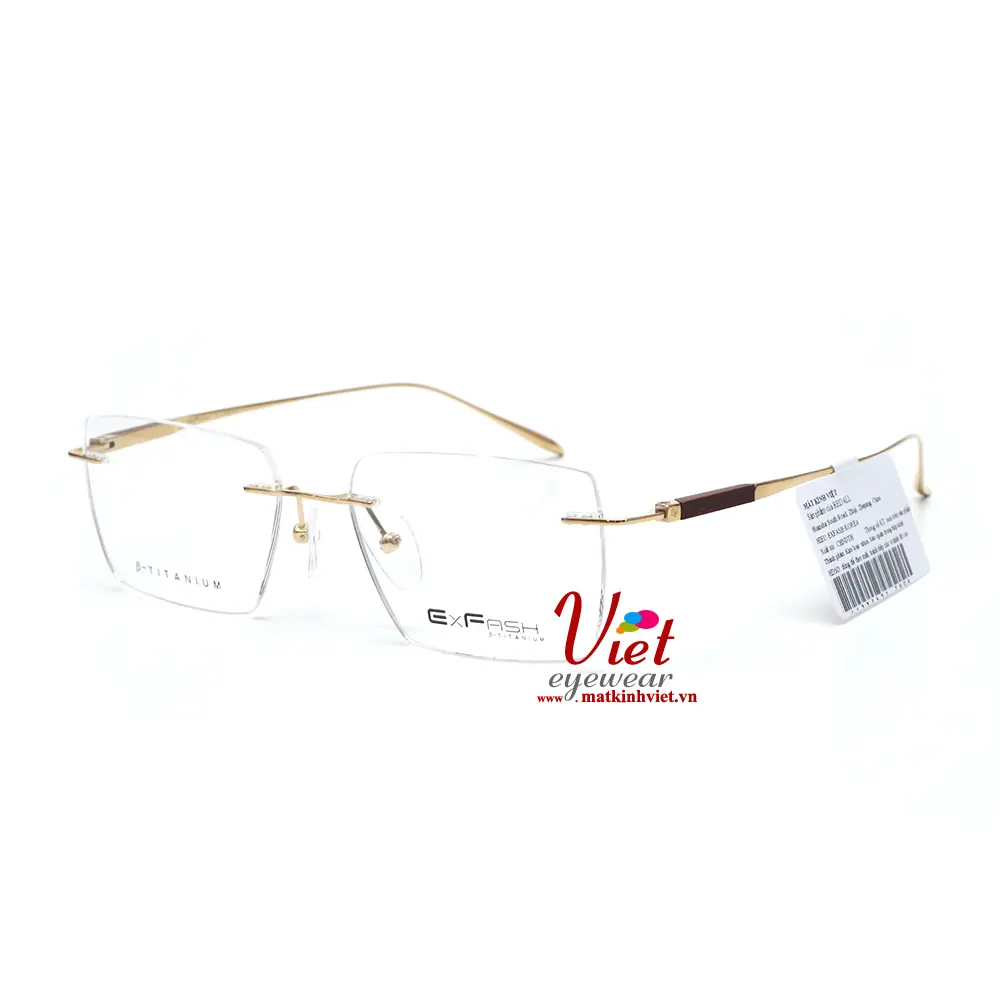 Gọng Kính Exfash EF33243T 790A