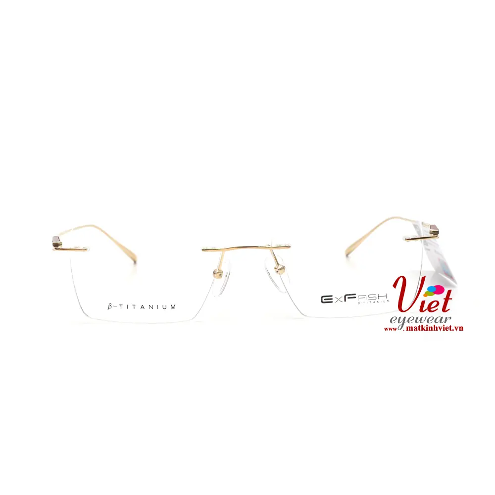 Gọng kính Exfash EF33243T 790A