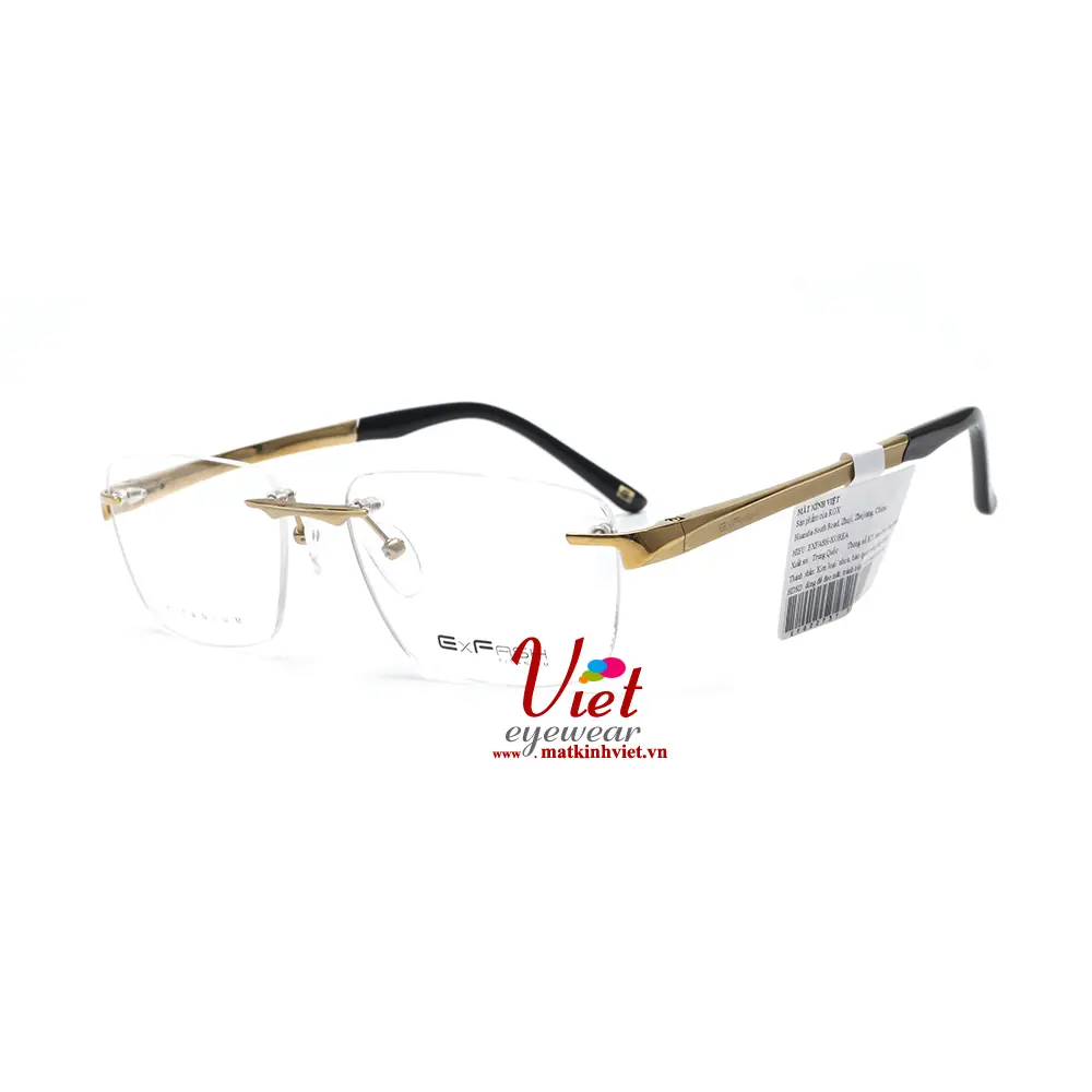 Gọng Kính Exfash EF82273 901D