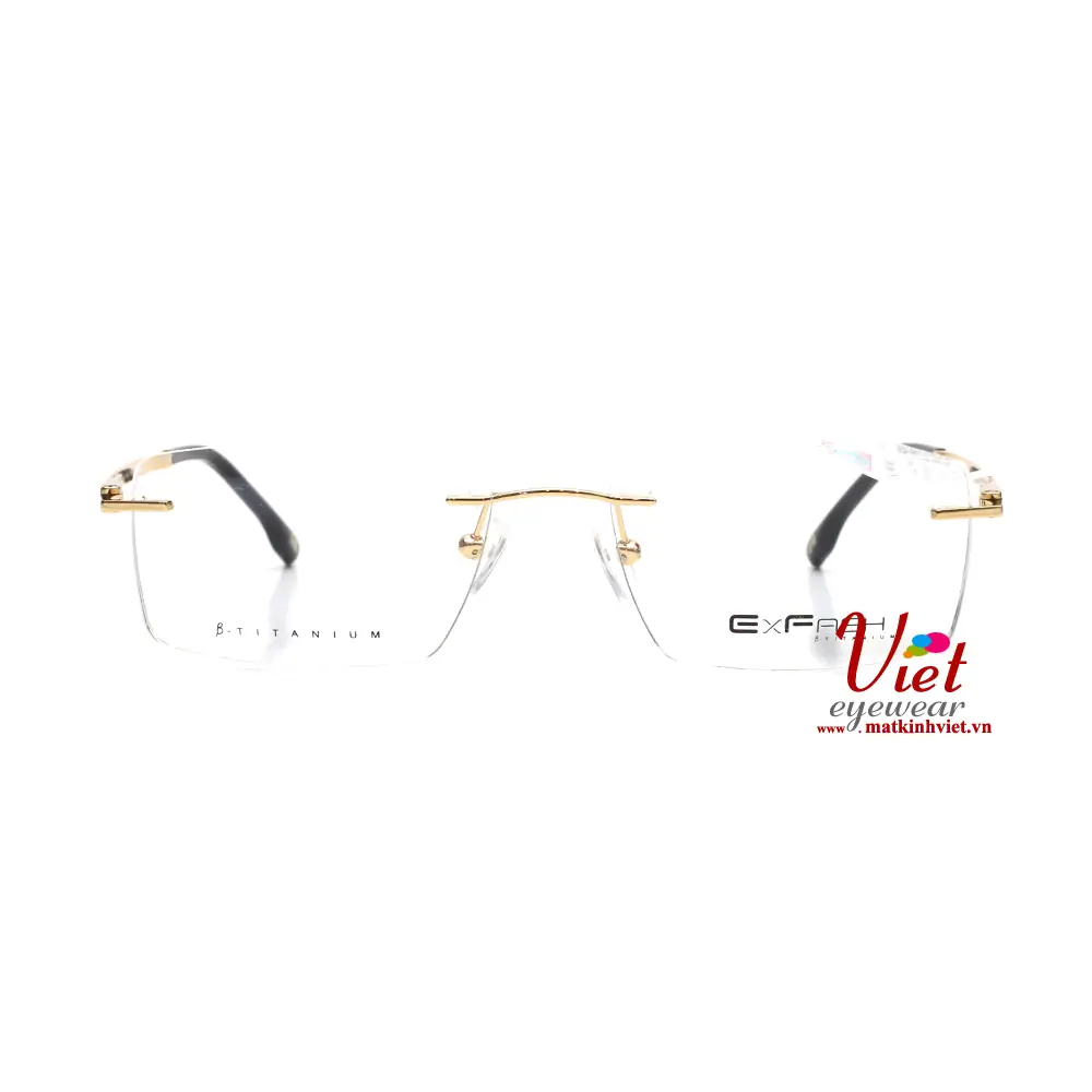 Gọng kính Exfash EF39297T 901